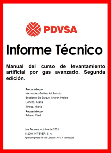 126189769-Manual-LAG-PDVSA-002-pdf