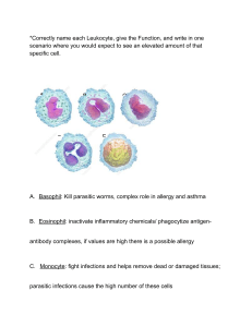 Leukocytes Bio-21B