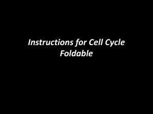 Cell Cycle Foldable Instructions