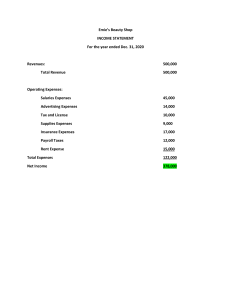 Emies income statement