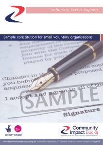 CIB-Sample-Constitution