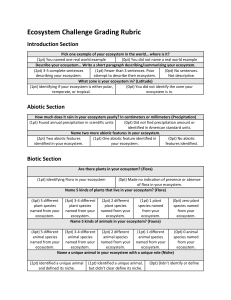 Ecosystem Challenge Rubric