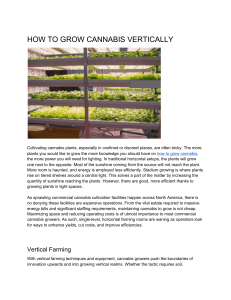 HOW TO GROW CANNABIS VERTICALLY