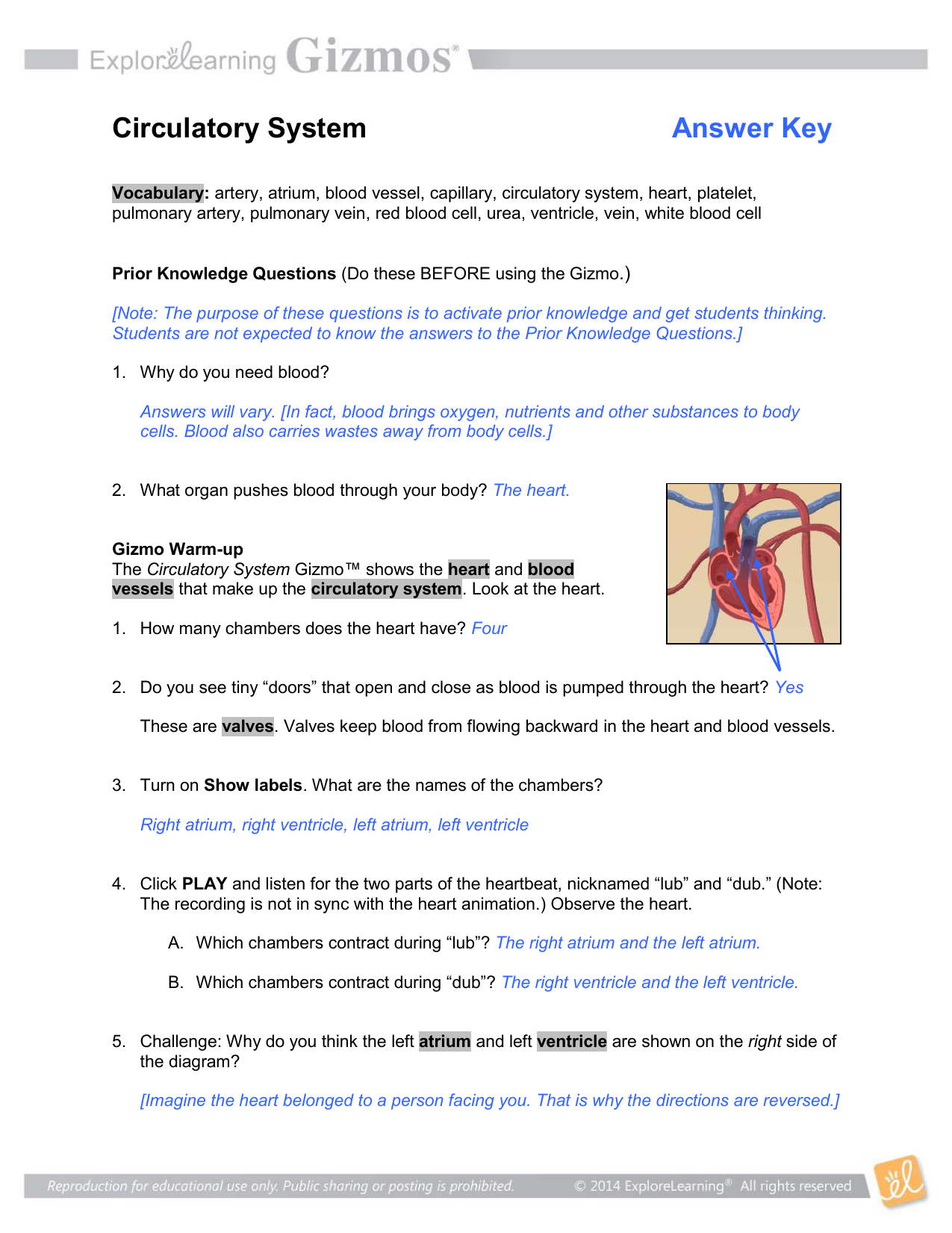 CirculatorySystemSE Key Throughout Circulatory System Worksheet Answers