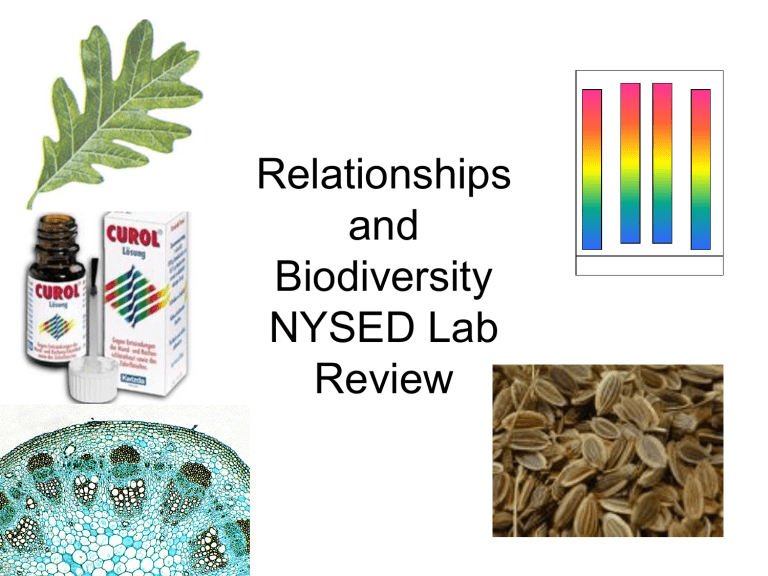 Relationship And Biodiversity Lab