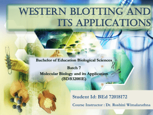 Western Blotting and its Applications