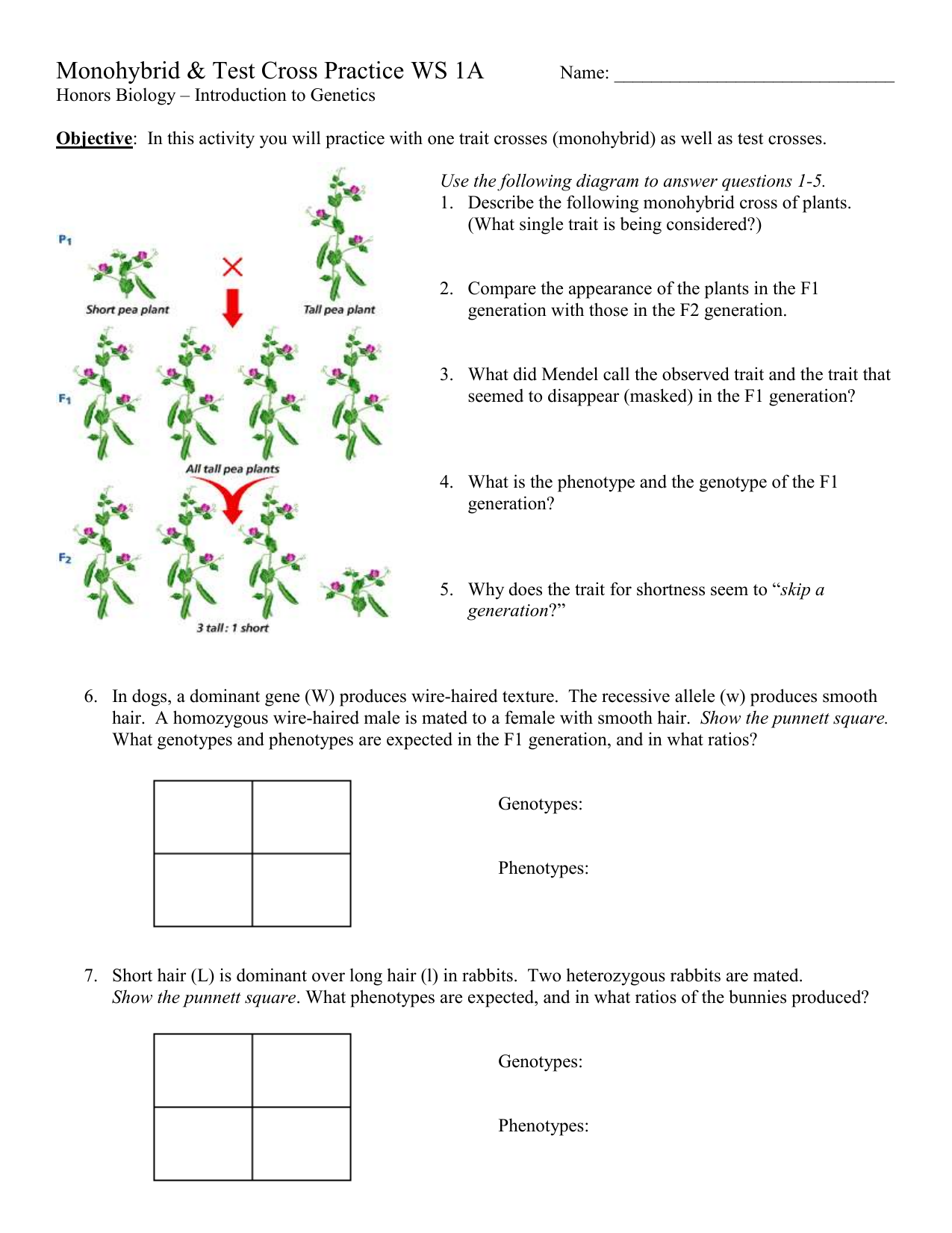 Monohybrid And Test Cross Practice Problems Ws 1a 1