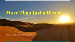 More Than Just a Desert