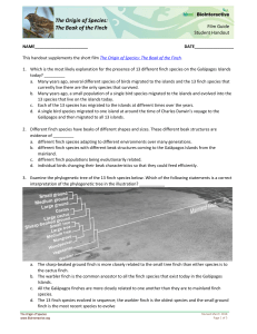 Finches student handout