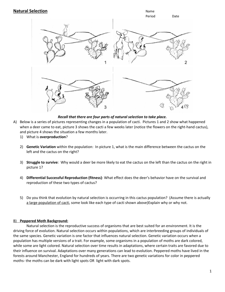 natural-selection-worksheet