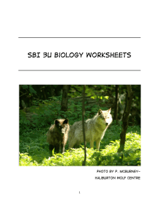sbi 3u biology worksheets