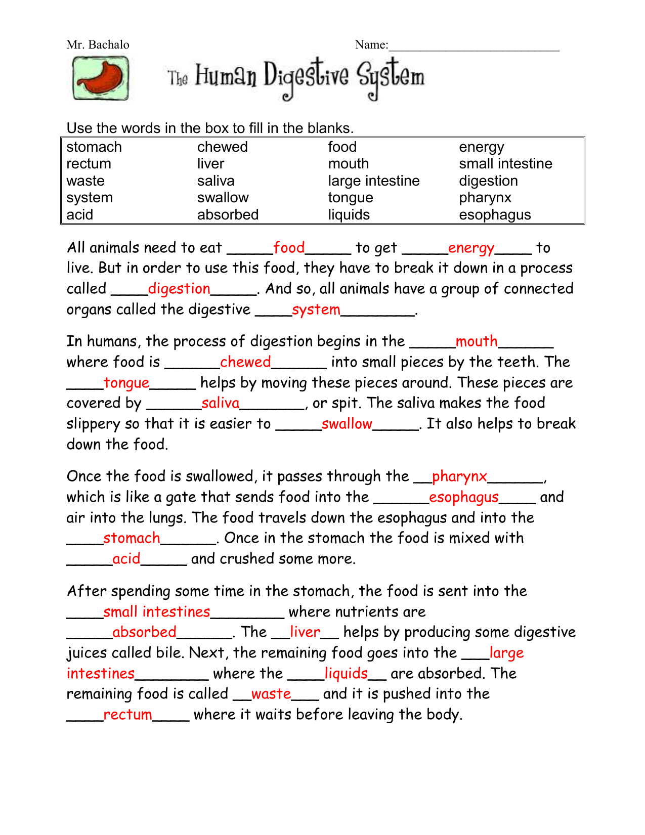 digestive system cloze assignment answer key For Digestive System Worksheet Answer Key