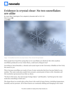 all-snowflakes-differ-2001005501-article and quiz (1)