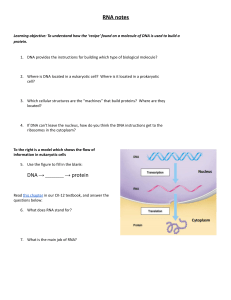 RNA notes