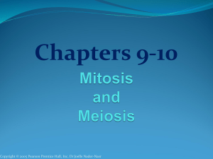 BIOL-103 Ch. 910 - Mitosis  Meiosis 