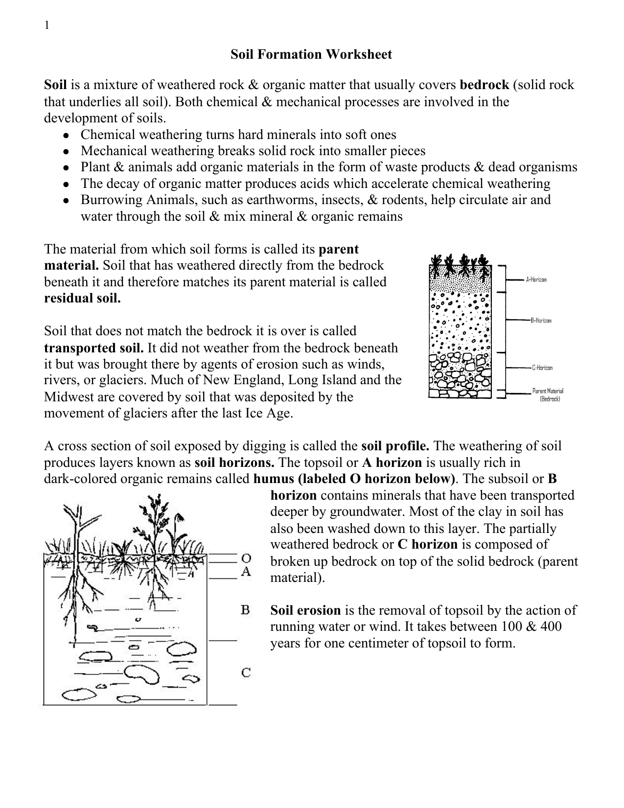 soil formation worksheet Regarding Layers Of Soil Worksheet