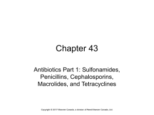 Antibiotics Part 1 Student-Self Study PowerPoint Presentation Notes