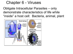 Chapter 6 ppt