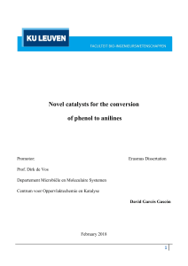 different useful catalysts in anline production