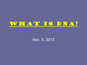 What is DNA