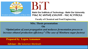 Thesis Final presentation  PPT