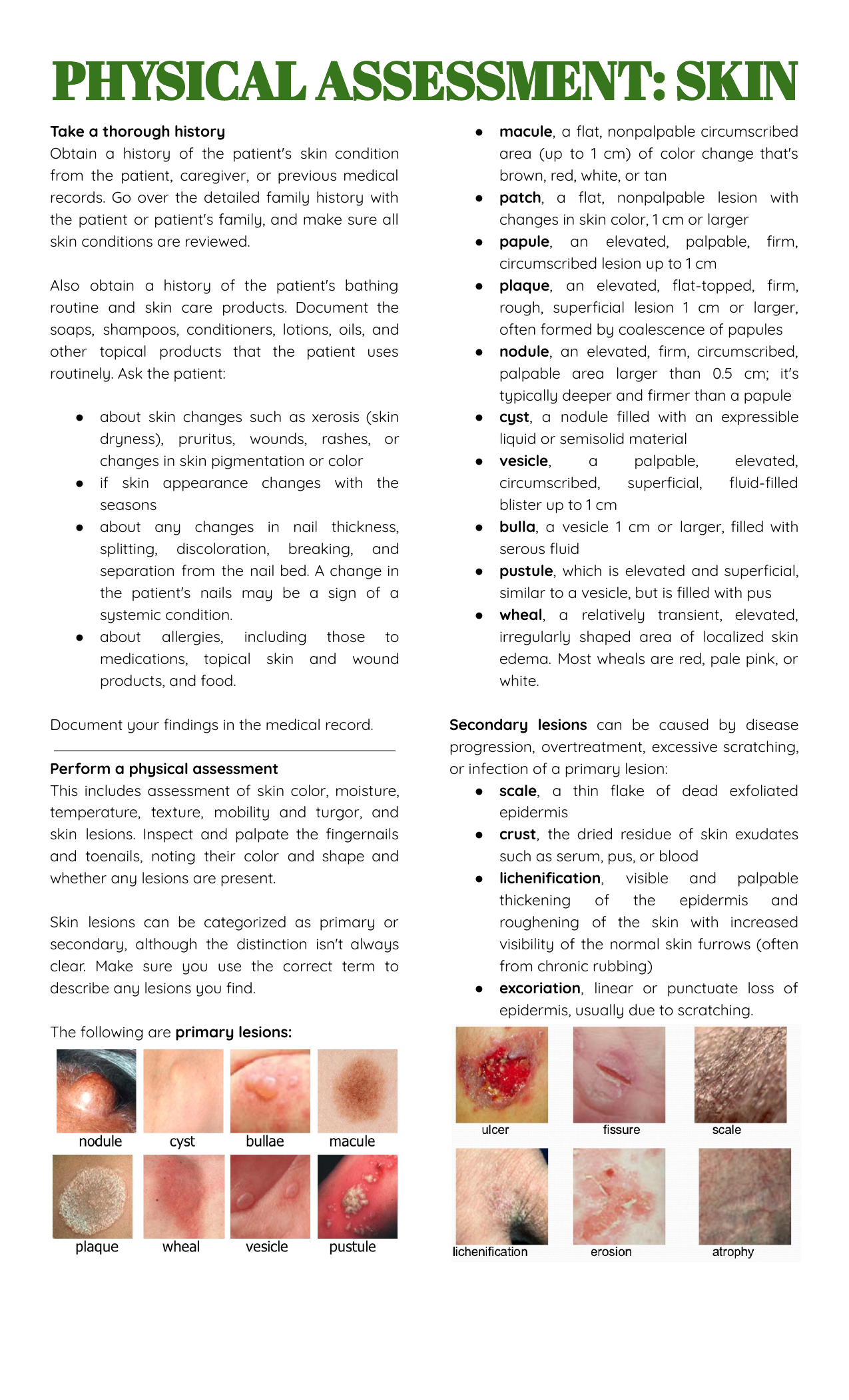 Physical Assessment Skin And Nails Handout