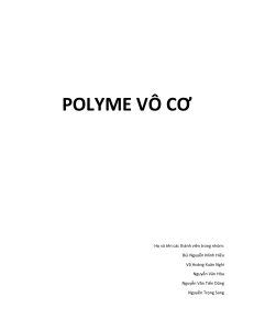 POLYME VÔ C--N9C2