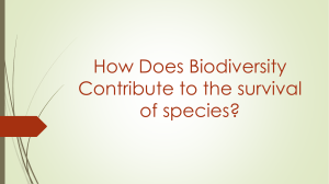 How Does Biodiversity Contribute to the survival of species