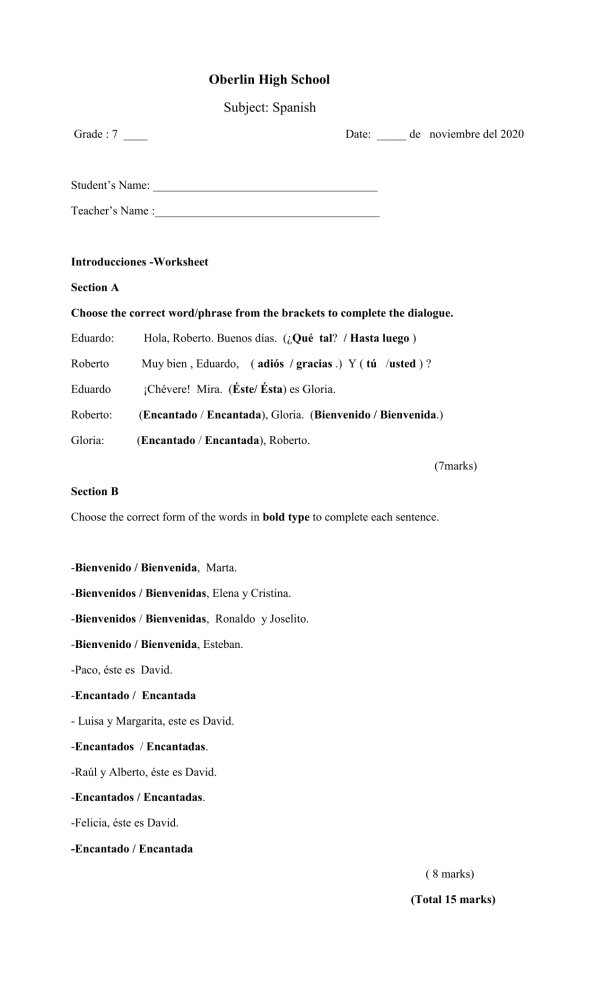 Introducciones Worksheet