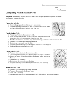 comparing plant and animal cells lab (1)