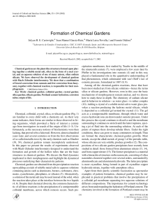 Formation of Chemical Gardens