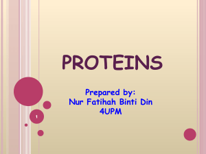 4-3-proteins-110310204602-phpapp01