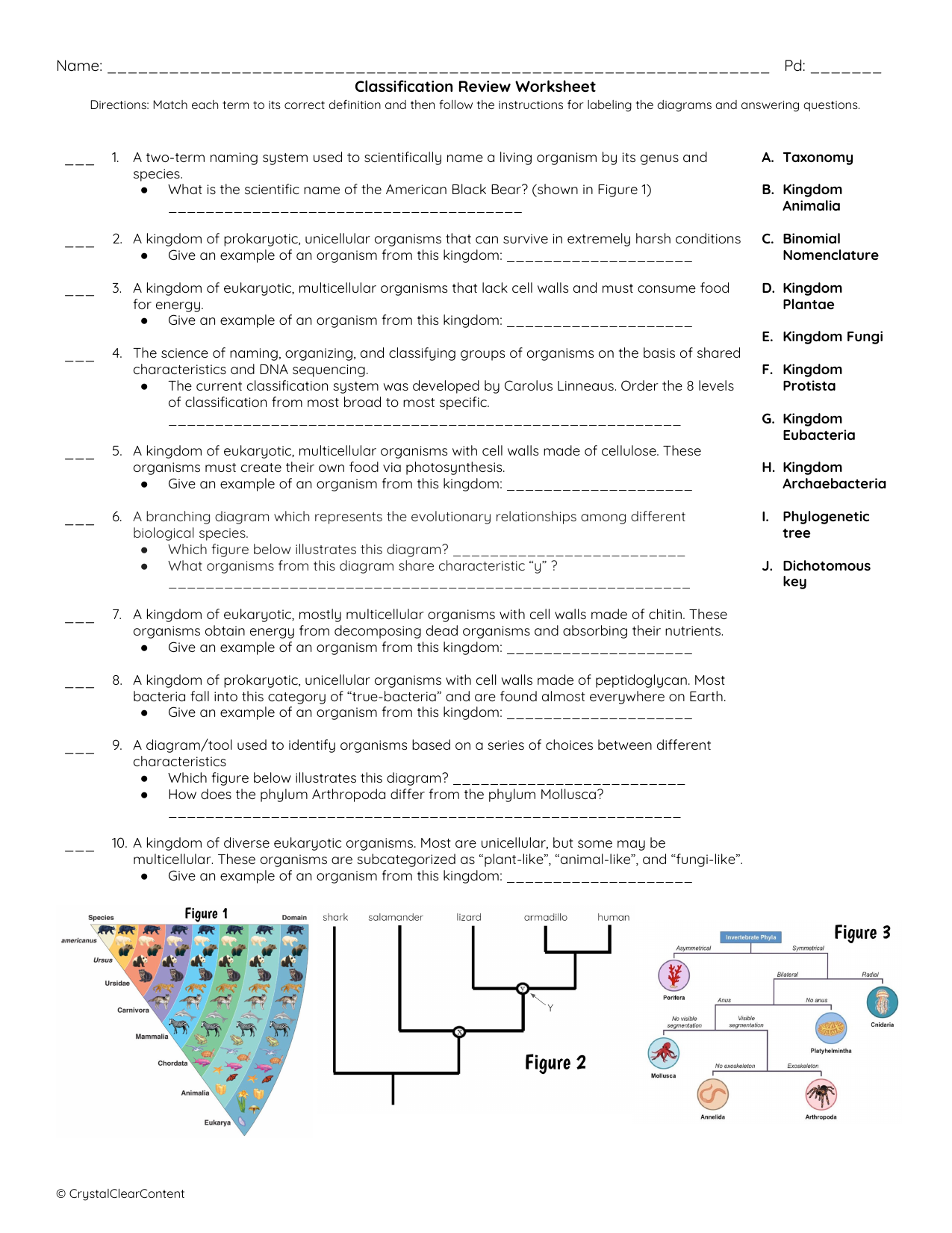 Classification Vocabulary Review Worksheet