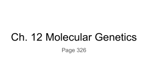 Ch. 12 Molecular Genetics