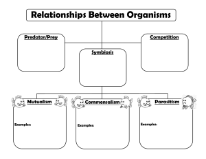 relationships between organisms organizer