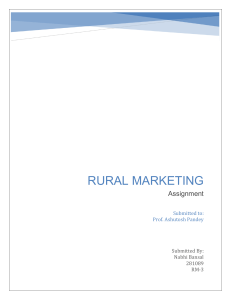 Rural Marketing Assignment: Chamak's Downfall & Strategy