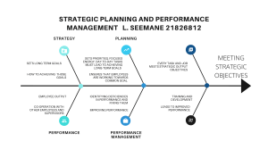 Strategic planning and performance management L. seemane 21826812