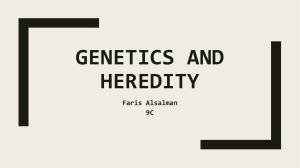 Genetics and Heredity Science Project Faris Alsalman 9C