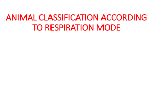 ANIMAL CLASSIFICATION ACCORDING TO RESPIRATION MODE