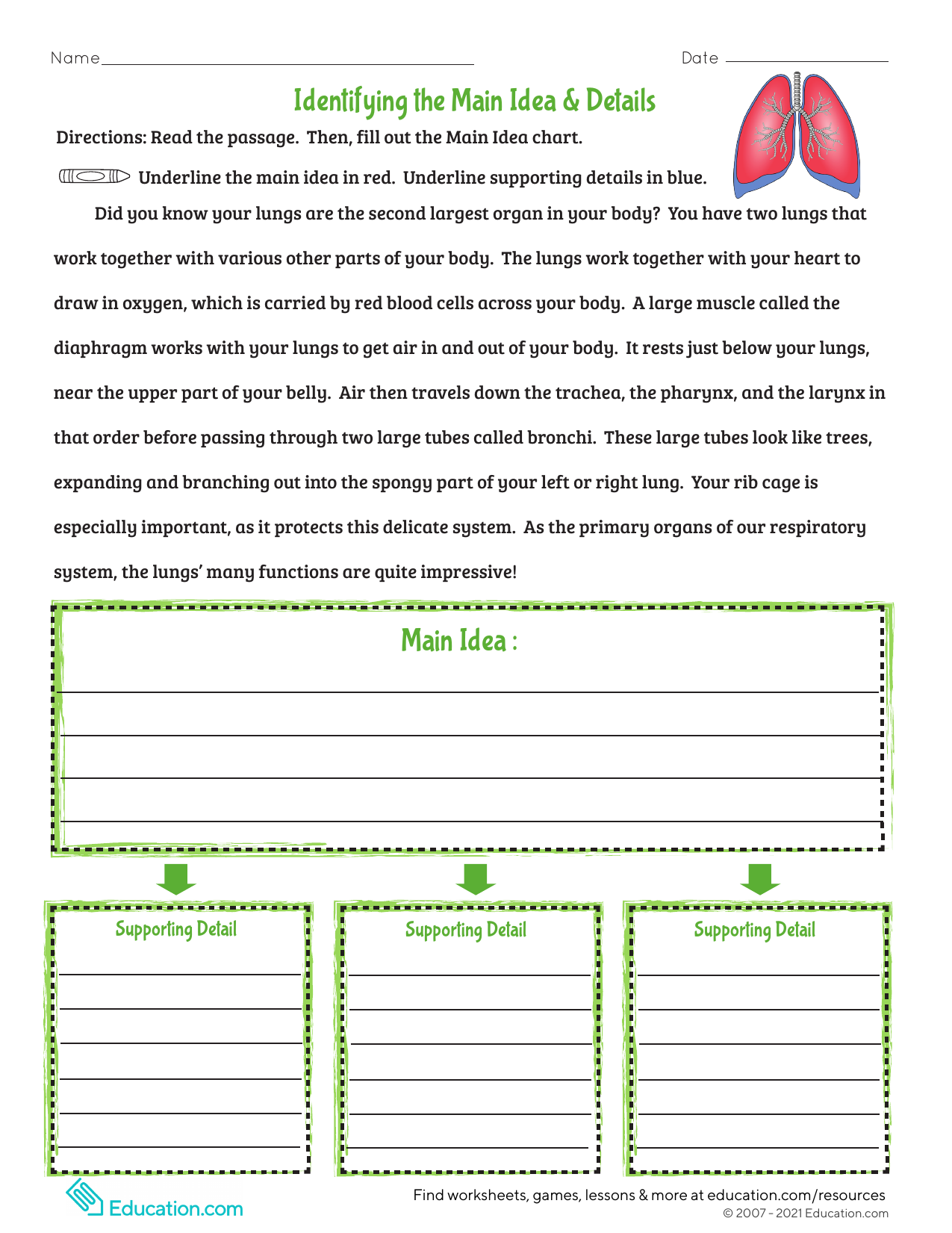 Identifying the main idea and details