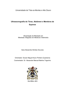 Universidade de Trás-os-Montes e Alto Douro. Ultrassonografia do Tórax, Abdómen e Membros de Equinos (1)