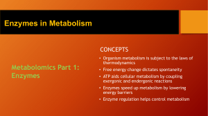 1 Enzymes in Metabolism (1)