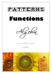 7-Patterns, Functions and Algebra Booklet