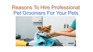 Reasons To Hire Professional Pet Groomers For Your Pets