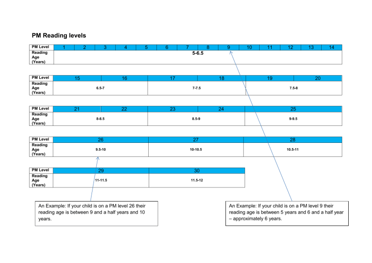 PM And PROBE Reading Levels Explained