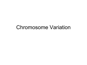 7 - Chromosome Variation