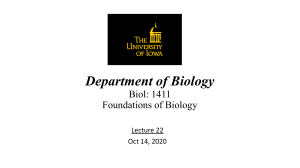 DNA Structure and Replication Lecture Slides