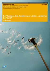 B1 for SAP HANA Admin Guide