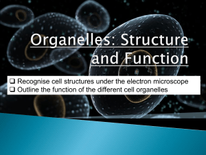 5-Cellular organelles