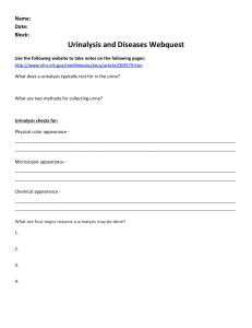 Urine Analysis Webquest